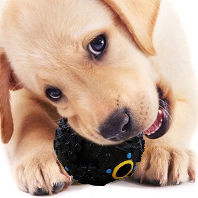 IntiMeg Pelota interactiva para perros