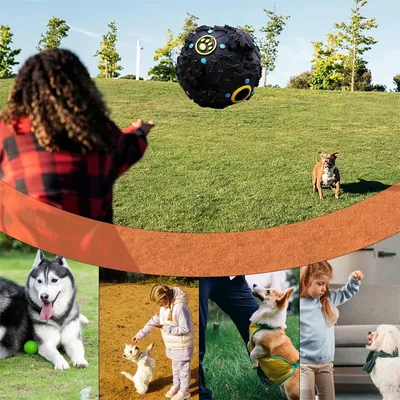 IntiMeg Balle interactive pour chien