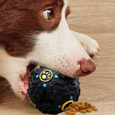 IntiMeg Balle interactive pour chien