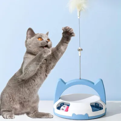 UAMLY Jouet rotatif à plumes pour chat