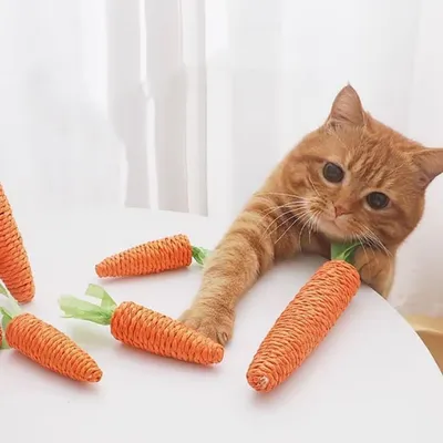 UAMLY Jouets à mâcher dentaires pour chat en forme de carotte