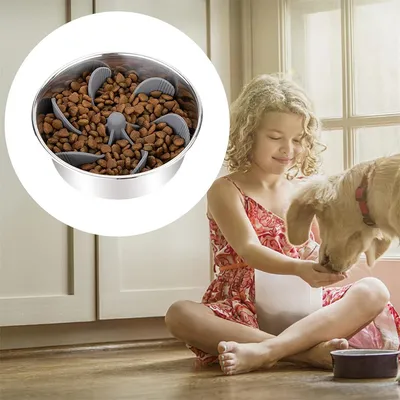 IntiMeg Gamelle Anti Glouton pour Chien et Chat