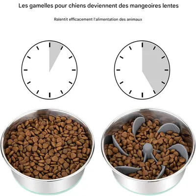 IntiMeg Gamelle Anti Glouton pour Chien et Chat