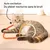IntiMeg Trois jouets en corde pour chats