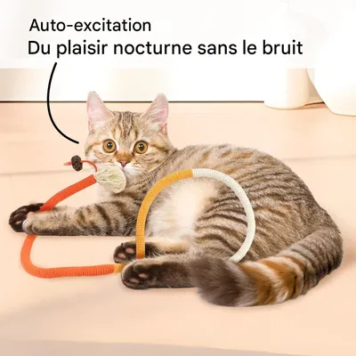 IntiMeg Trois jouets en corde pour chats