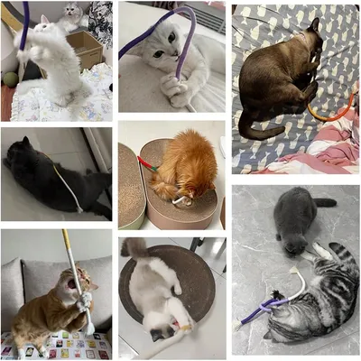 IntiMeg Trois jouets en corde pour chats