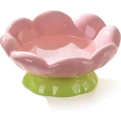 UAMLY Gamelle surélevée en céramique pour chat