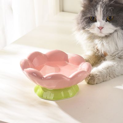 UAMLY Gamelle surélevée en céramique pour chat