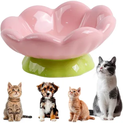 UAMLY Gamelle surélevée en céramique pour chat