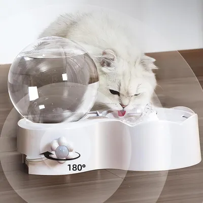 UAMLY Fontaine à eau silencieuse pour chats