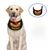 IntiMeg Gamelle anti - glouton pour chien et chat