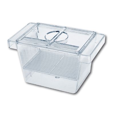 AMTRA Bac de reproduction 3 en 1 avec couvercle – SMALL