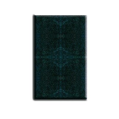 Amtra Niagara 370 – Mousse Noire de Rechange (Compat. 250) x1