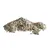 Amtra Gravier Naturel Multicolore 3-4 mm pour Aquarium - 5 kg Amtra Gravier Naturel Multicolore 3-4 mm pour Aquarium - 5 kg
