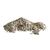 Amtra Gravier Naturel Multicolore 3-4 mm pour Aquarium - 5 kg