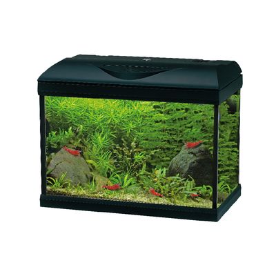 AMTRA Aquarium complet BASIC LED avec éclairage et filtre intégrés