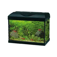 AMTRA Aquarium complet BASIC LED avec éclairage et filtre intégrés