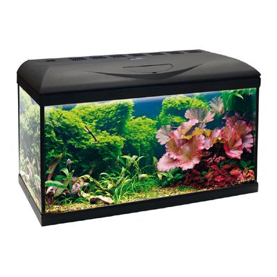 AMTRA Aquarium complet BASIC LED avec éclairage et filtre intégrés
