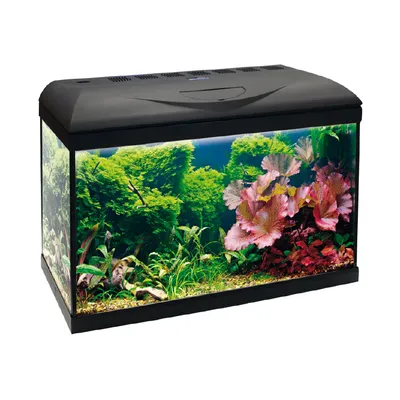 AMTRA MOUSE – Pompe à air compactes pour aquarium