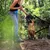 lionto collier pour chien en nylon robuste avec stoppeur de traction