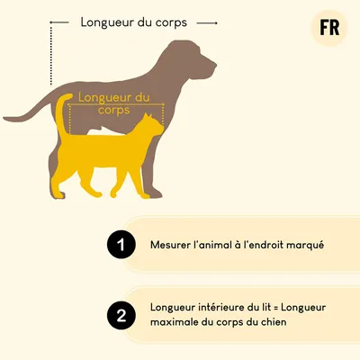 lionto coussin chien doux avec entrée basse et coussin réversible