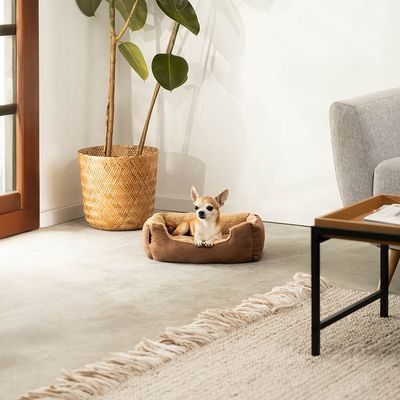 lionto weiches Hundebett mit niedrigem Einstieg und Wendekissen