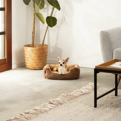 lionto coussin chien doux avec entrée basse et coussin réversible