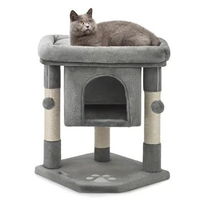lionto arbre à chat avec niche, 2 balles et corde sisal robuste