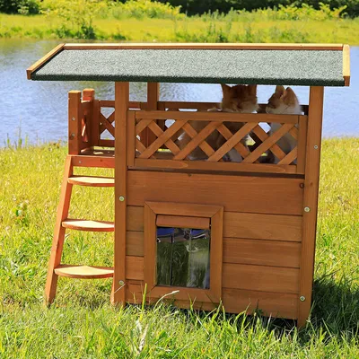 lionto maison pour chat en bois avec toit étanche et zones de repos
