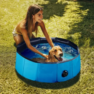 Fudajo Piscine pour chiens - pataugeoire antidérapante pour chiens, pliable
