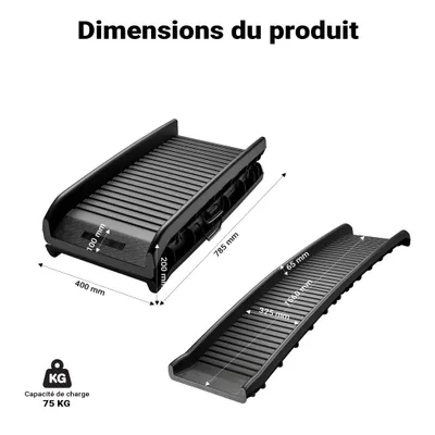 Wiltec Rampe d'accès pour chien et animaux – 1560 x 400 x 100 mm – capacité Wiltec Rampe d'accès pour chien et animaux – 1560 x 400 x 100 mm – capacité