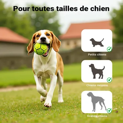 Wiltec Rampe d'accès pour chien et animaux – 1560 x 400 x 100 mm – capacité Wiltec Rampe d'accès pour chien et animaux – 1560 x 400 x 100 mm – capacité