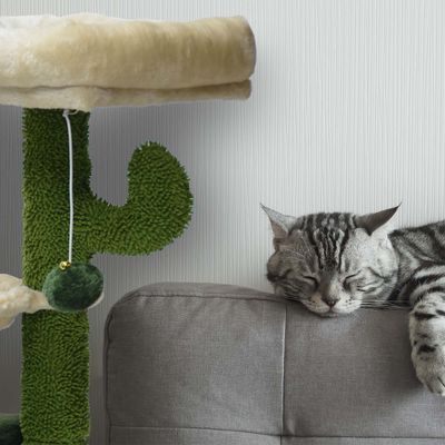 Fudajo Arbre à chat Forme de cactus Arbre d’escalade de Grattage 75cm avec