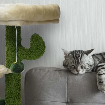 Fudajo Arbre à chat Forme de cactus Arbre d’escalade de Grattage 75cm avec