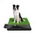 Toilette pour Chien