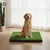 Fudajo Toilette pour chiens – 63 x 51 cm – avec Gazon artificiel et Bac col Fudajo Toilette pour chiens – 63 x 51 cm – avec Gazon artificiel et Bac col