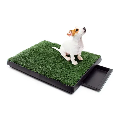 Fudajo Toilette pour chiens – 63 x 51 cm – avec Gazon artificiel et Bac col