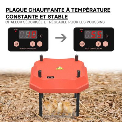Fudajo Panneau chauffant – 25 x 25 cm – 30 W – pour élevage de 20 poussins