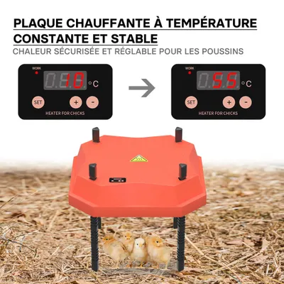 Fudajo Panneau chauffant – 25 x 25 cm – 30 W – pour élevage de 20 poussins