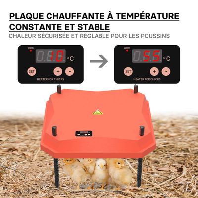 Fudajo Panneau chauffant – 35 x 35 cm – 50 W – pour élevage de 30 poussins