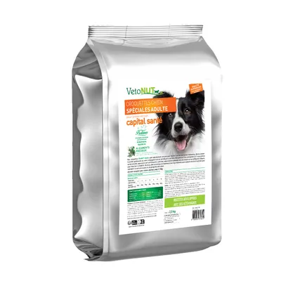 Croquettes chien adulte