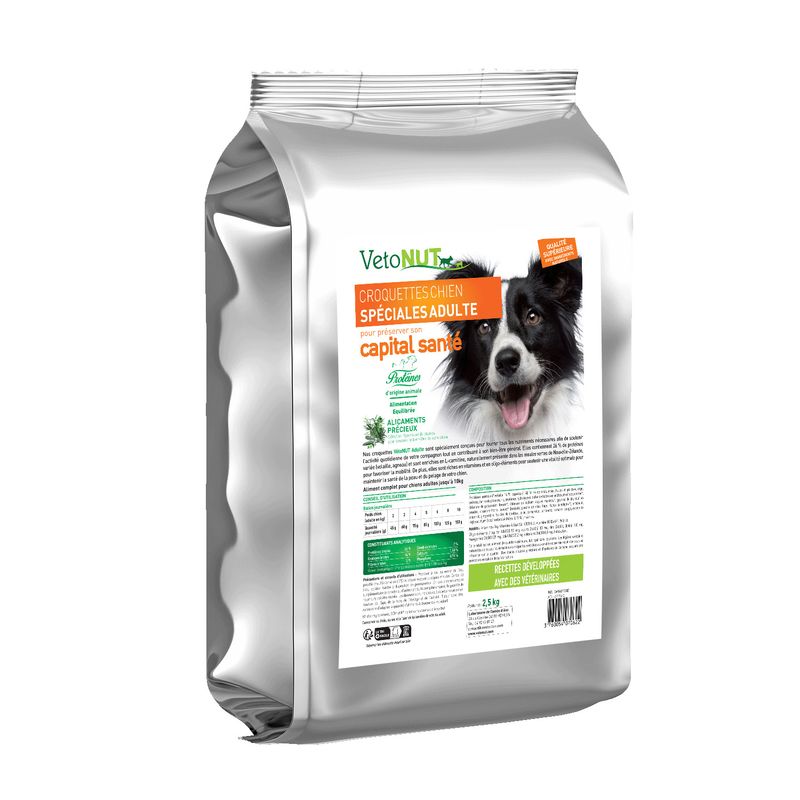 Croquettes chien adulte