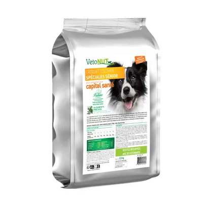 Croquettes chien spécial sénior Croquettes chien spécial sénior