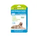 Antiparasitaire chien et chiot