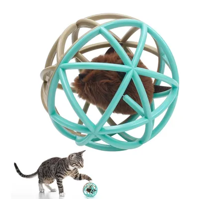 IntiMeg Chat jouant avec une souris IntiMeg Chat jouant avec une souris