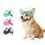 IntiMeg Chapeau de soleil pour chien