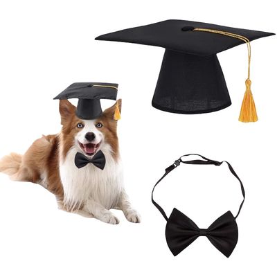IntiMeg Chapeau de graduation pour chien et chat