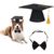 IntiMeg Chapeau de graduation pour chien et chat