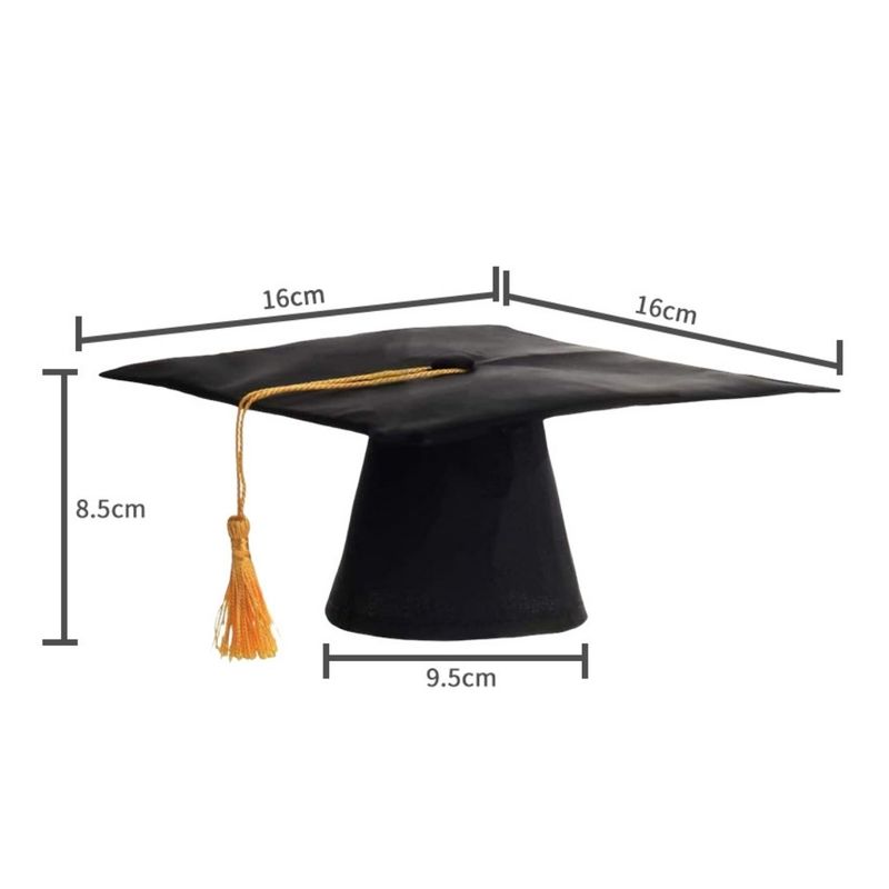 IntiMeg Chapeau de graduation pour chien et chat