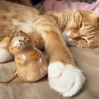 IntiMeg Cápsula para guardar pelo de gato